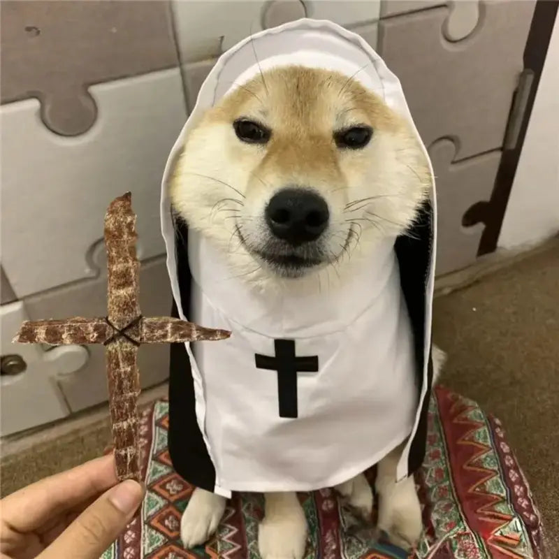 Black and White Hooded Nun Costume for Cats and Dogs [YQT:BZ-261008-004:31f0a05aaf03c937]